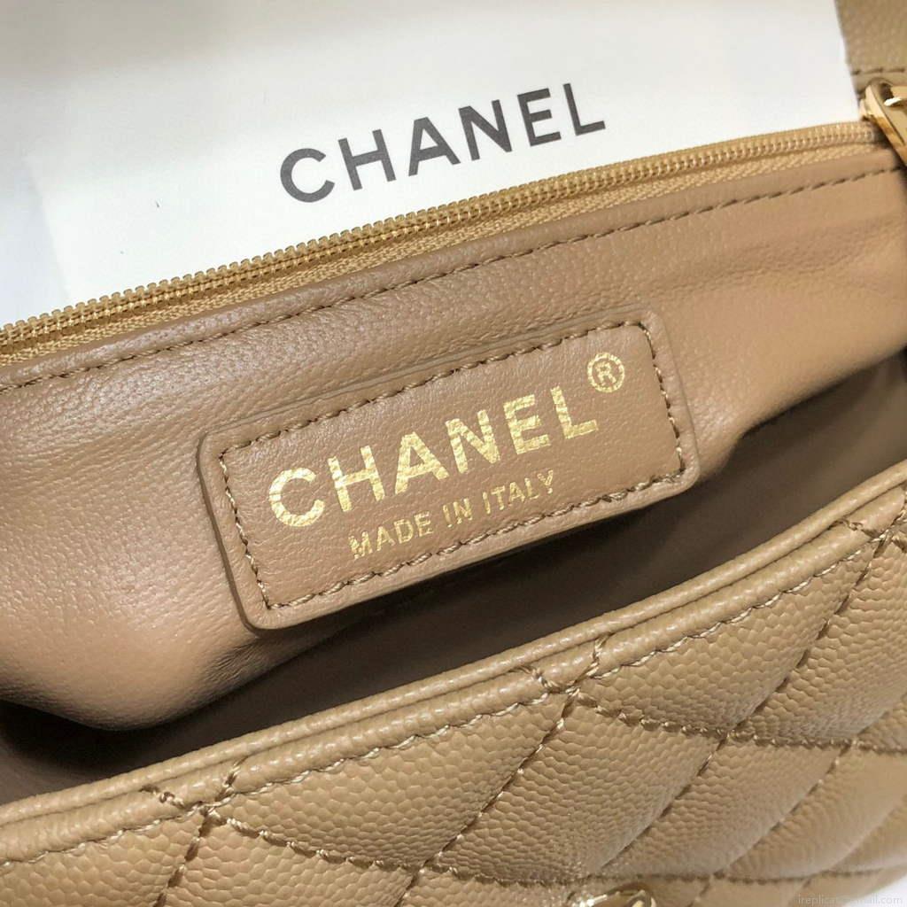Chanel A92990 Medium Flap Bag With Top Handle Bag Light Apricot