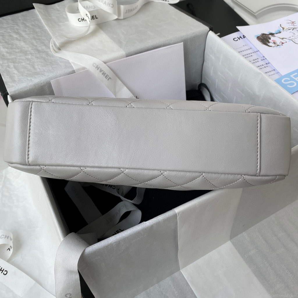 Chanel AS2977 Small Box Bag Shoulder bag Gray