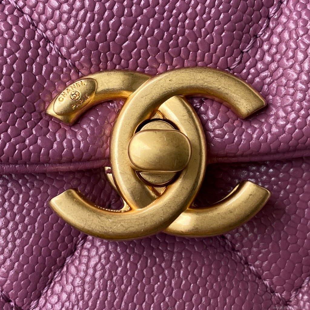 Chanel AS3103 Chanel 19 Handbag Calfskin Purple