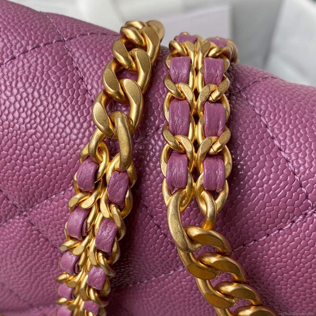 Chanel AS3103 Chanel 19 Handbag Calfskin Purple