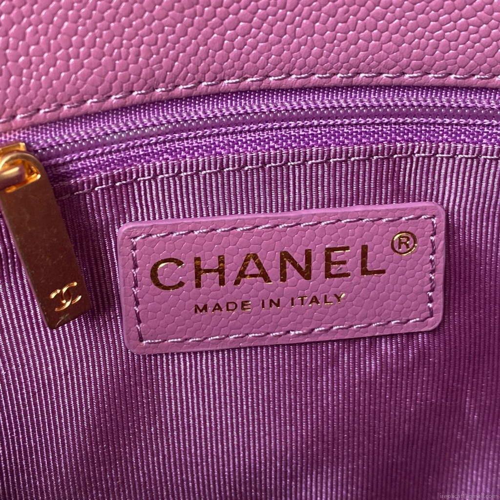 Chanel AS3103 Chanel 19 Handbag Calfskin Purple