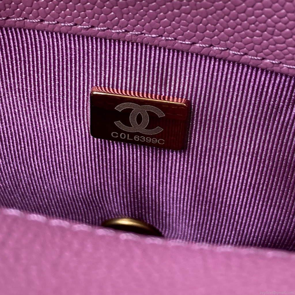 Chanel AS3103 Chanel 19 Handbag Calfskin Purple