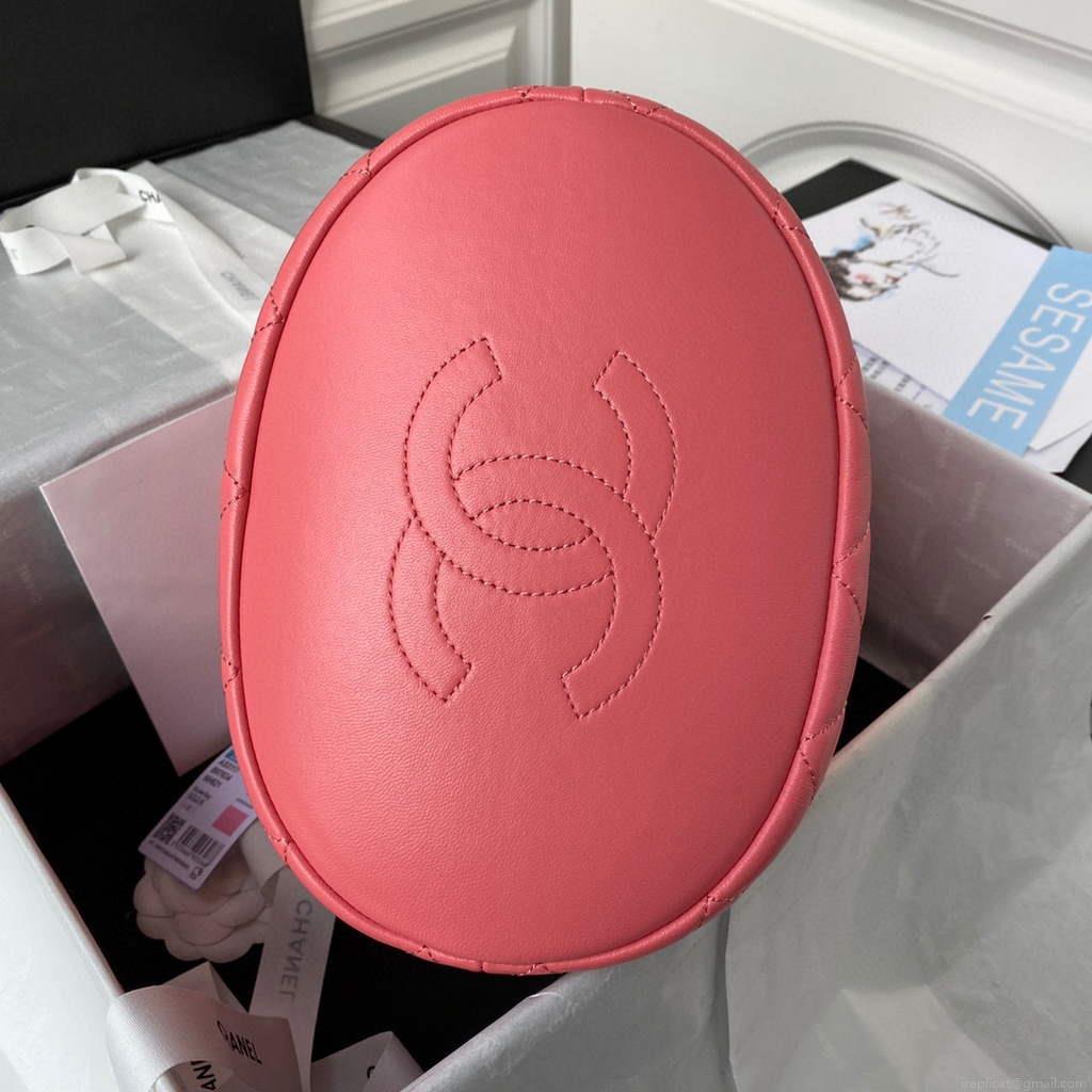 Chanel AS3117 Bucket Bag Lambskin Pink