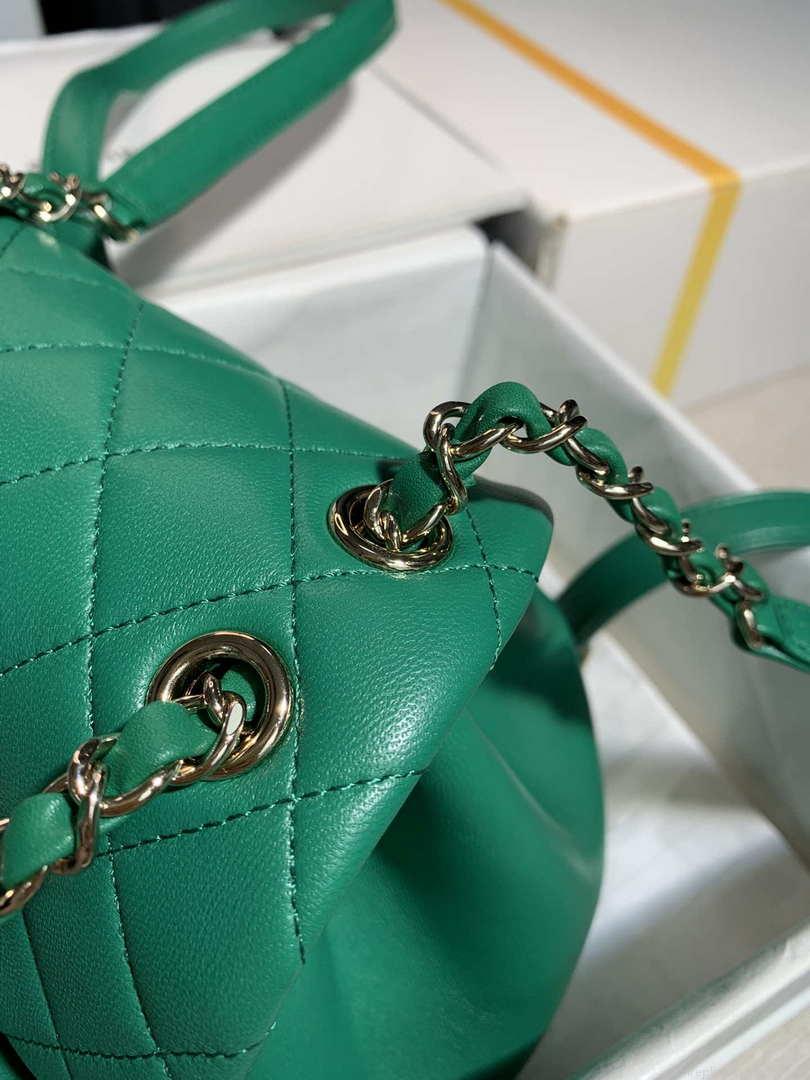 Chanel Backpack Duma Green Lambskin CC AS2908 Gold