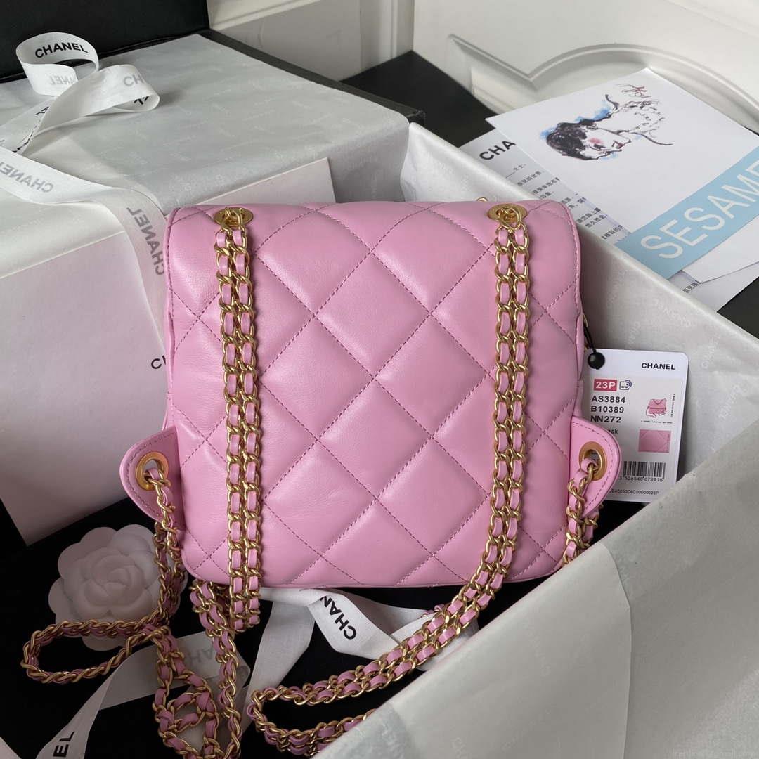 Chanel AS3384 Backpack Chain bag lambskin Pink