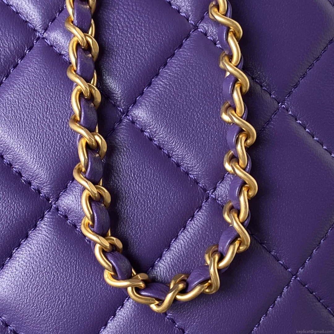 Chanel AS4610 Messenger bag Lambskin Purple