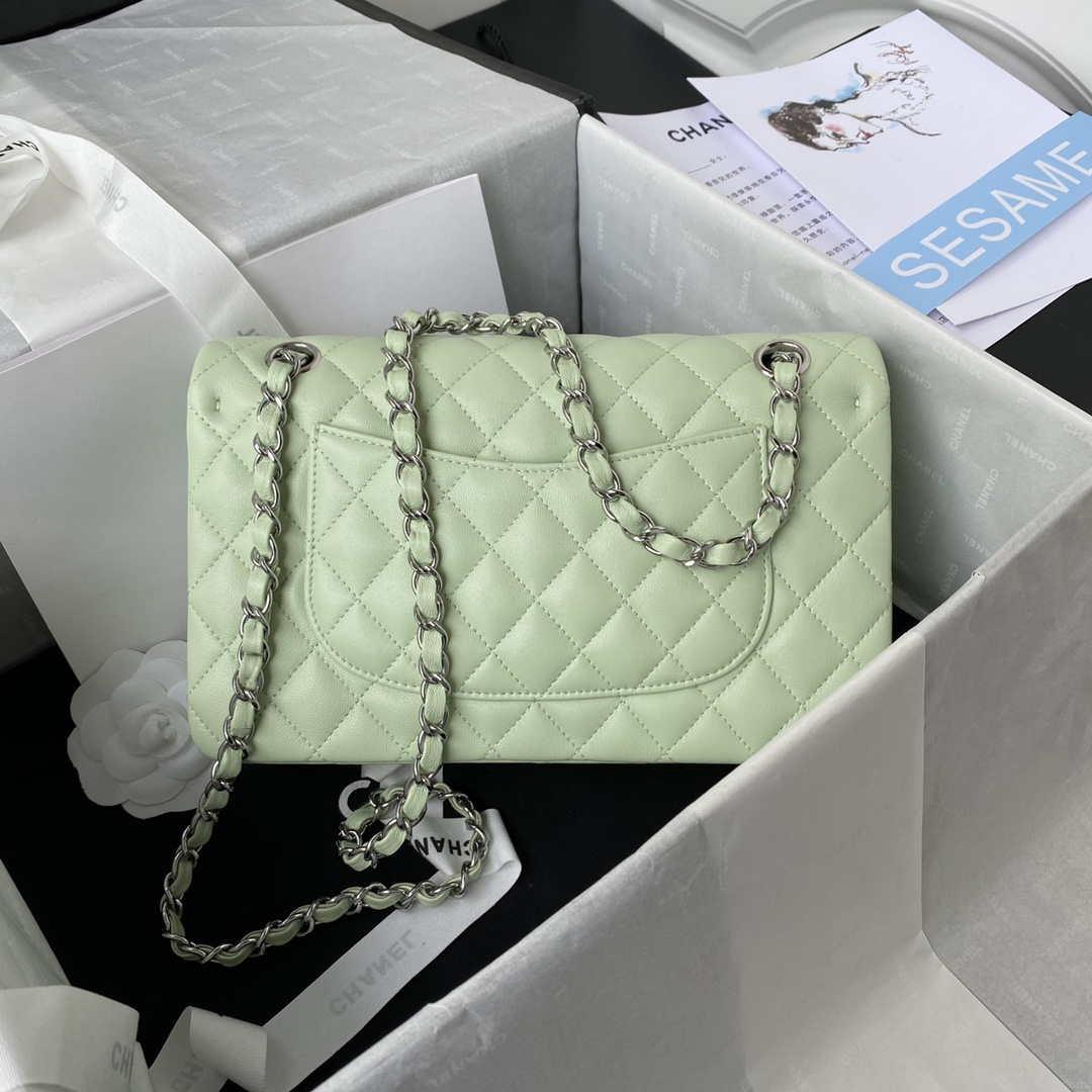 Chanel A01112 Flap Handbag Classic Bag Lambskin Light Green Silver