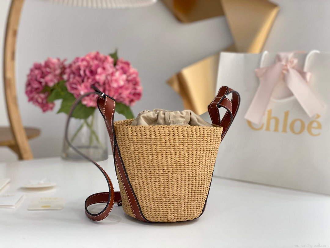 Chloé CHC22SS391G56101 Small Basket Tote Bag Brown