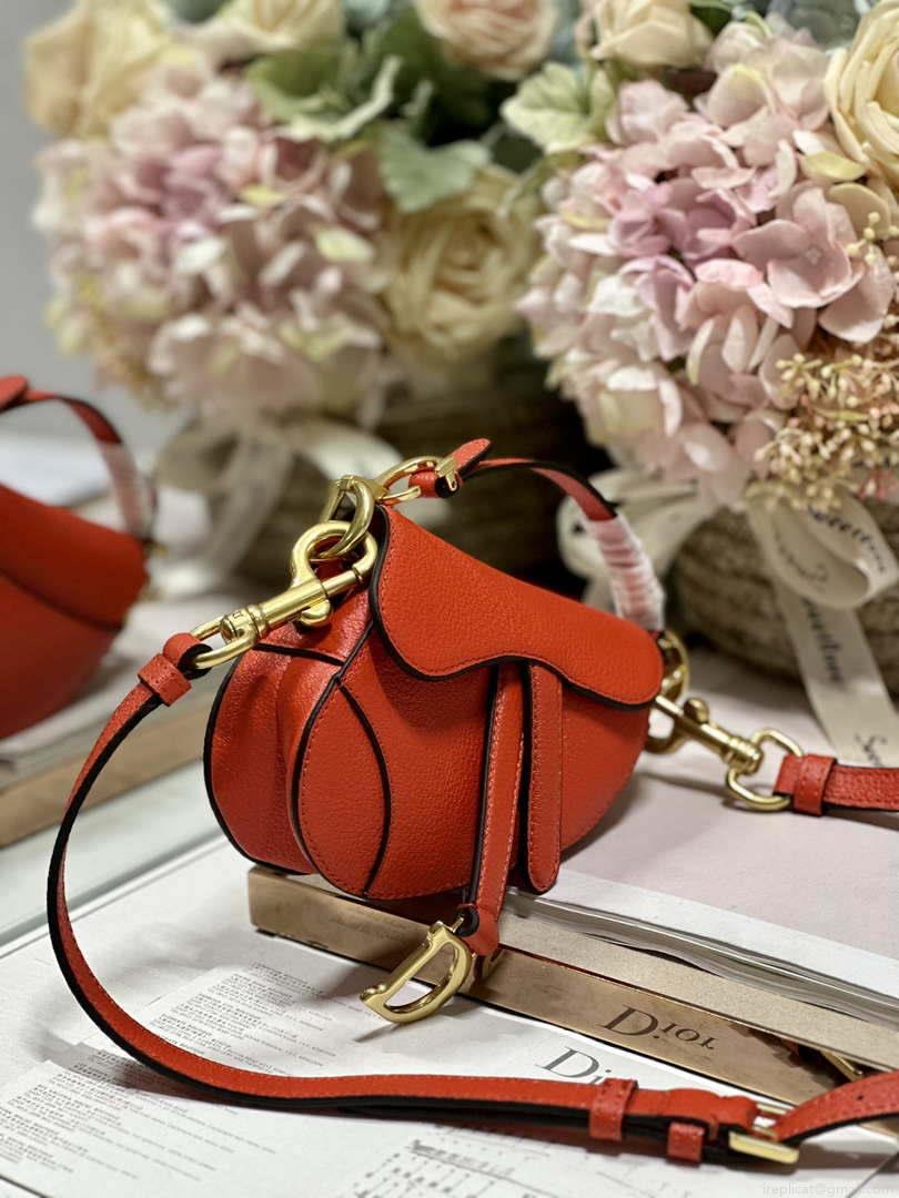 Dior S5685 Micro Saddle Bag With Strap Scarlet Orange Goatskin