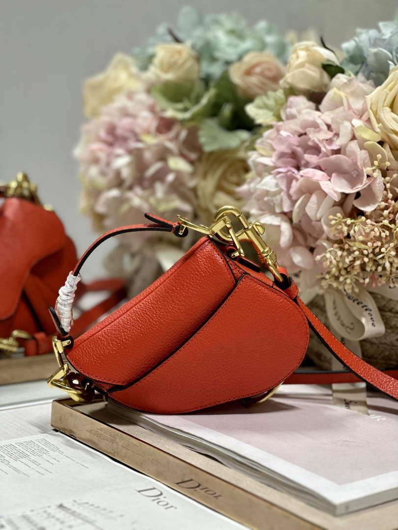 Dior S5685 Micro Saddle Bag With Strap Scarlet Orange Goatskin