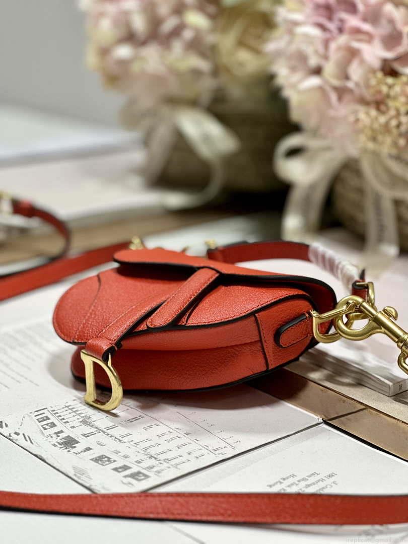 Dior S5685 Micro Saddle Bag With Strap Scarlet Orange Goatskin