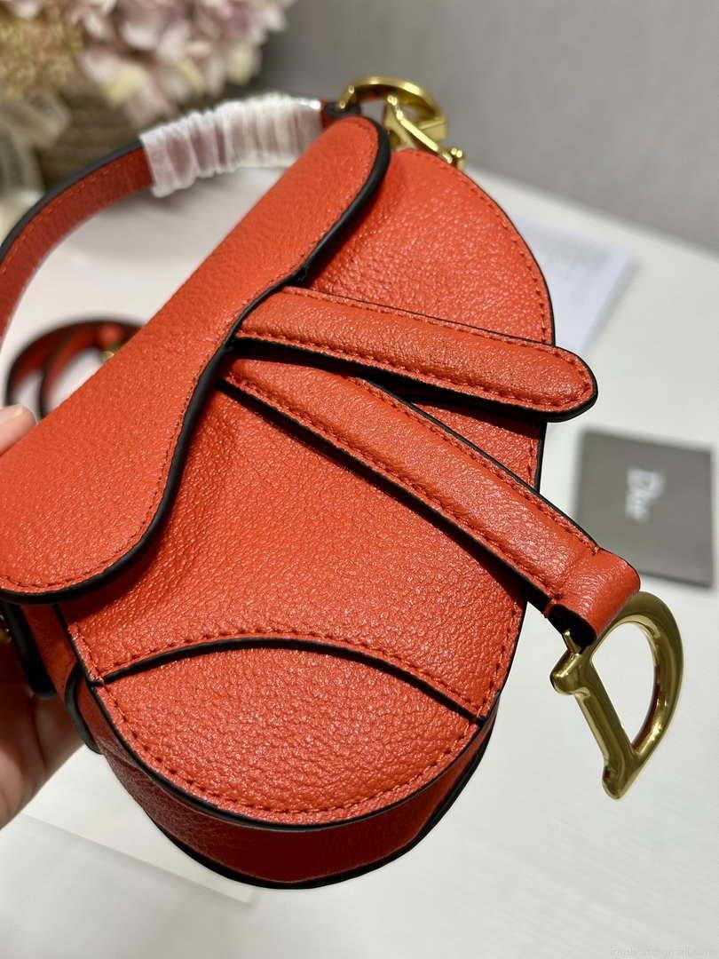 Dior S5685 Micro Saddle Bag With Strap Scarlet Orange Goatskin