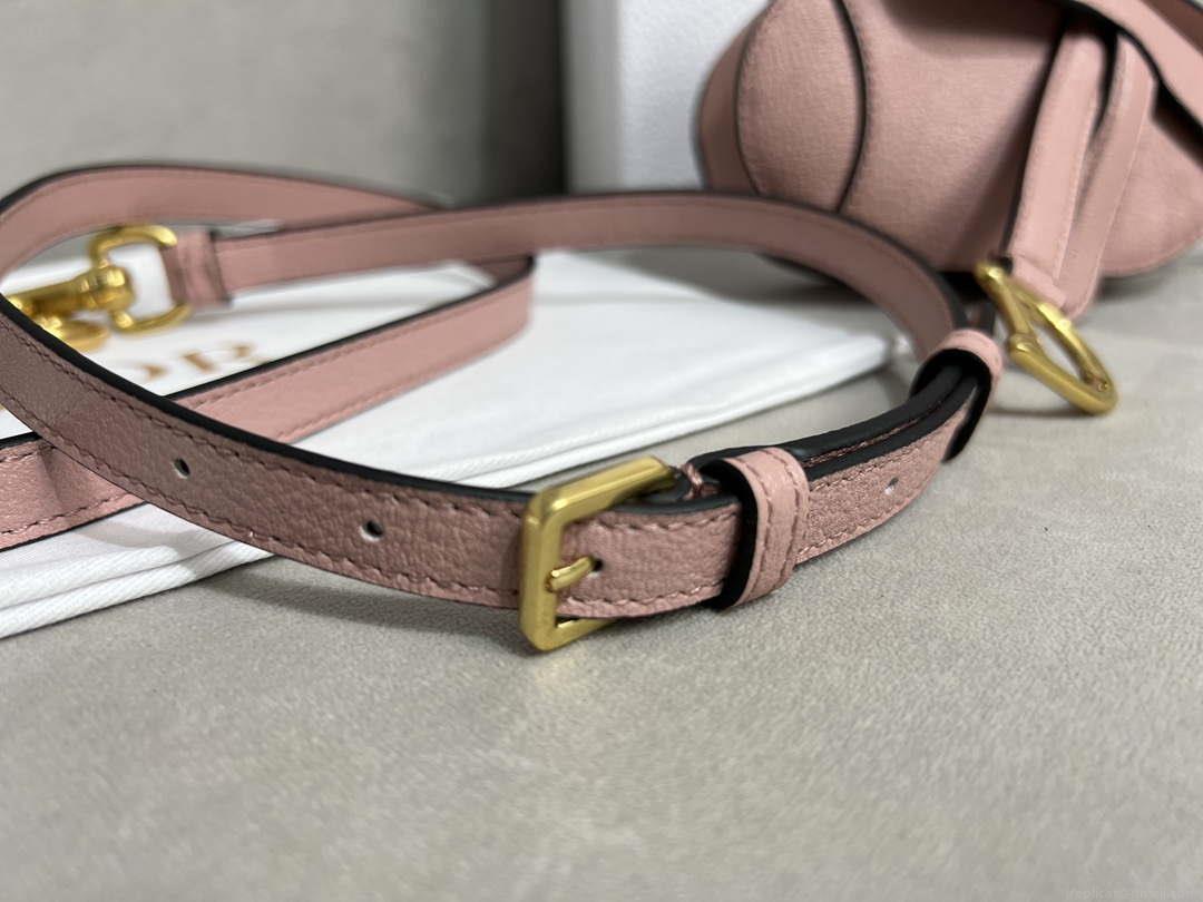 Dior S5685 Micro Saddle Bag With Strap Scarlet Pink Goatskin