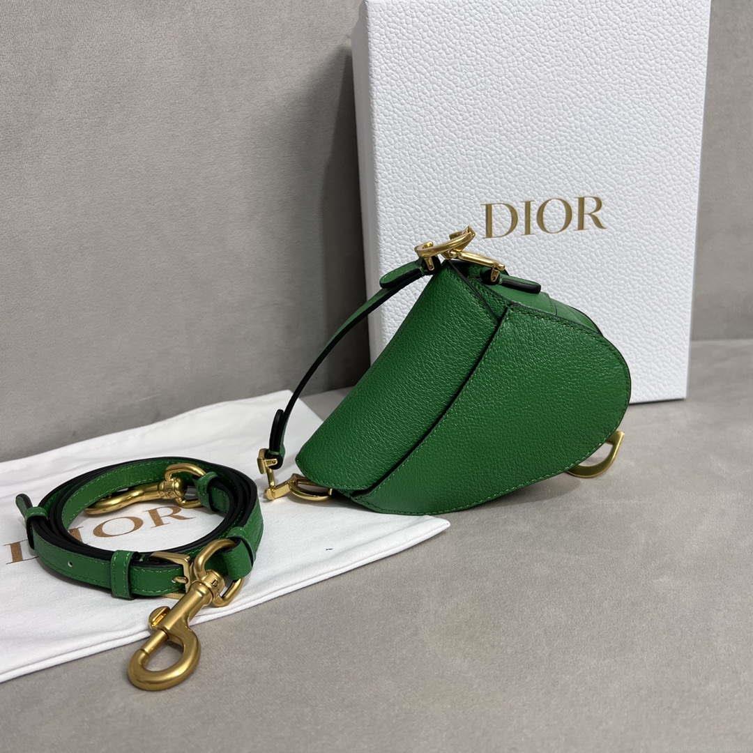 Dior S5685 Micro Saddle Bag With Strap Scarlet Green Goatskin