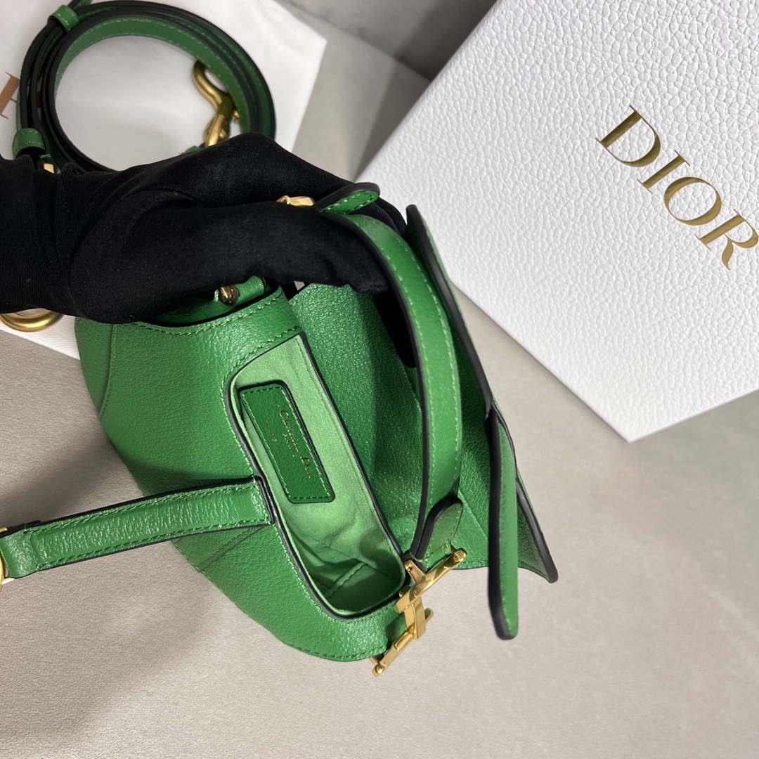 Dior S5685 Micro Saddle Bag With Strap Scarlet Green Goatskin