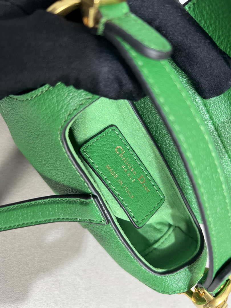 Dior S5685 Micro Saddle Bag With Strap Scarlet Green Goatskin