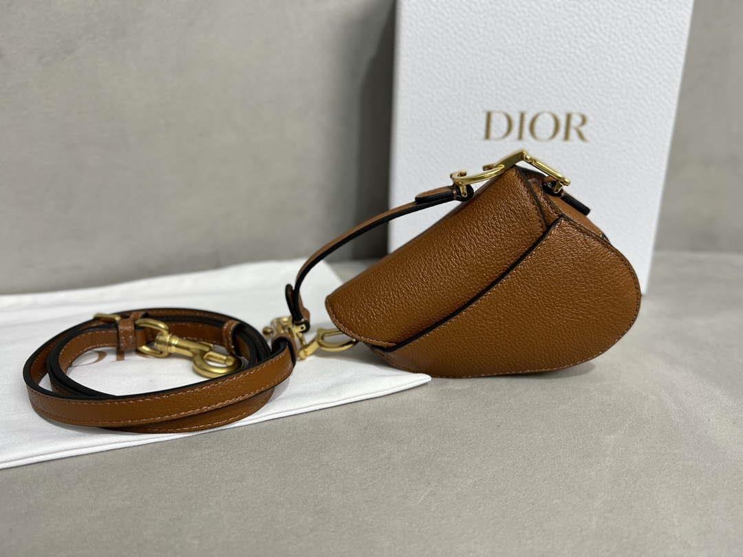 Dior S5685 Micro Saddle Bag With Strap Scarlet Brown Goatskin