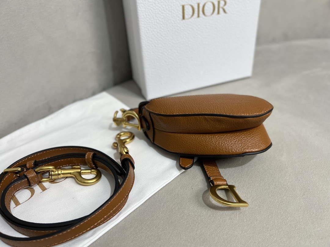Dior S5685 Micro Saddle Bag With Strap Scarlet Brown Goatskin