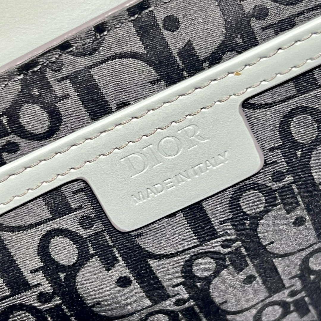 Dior M0051 Crossbody Men Bag Smooth Calfskin Gray