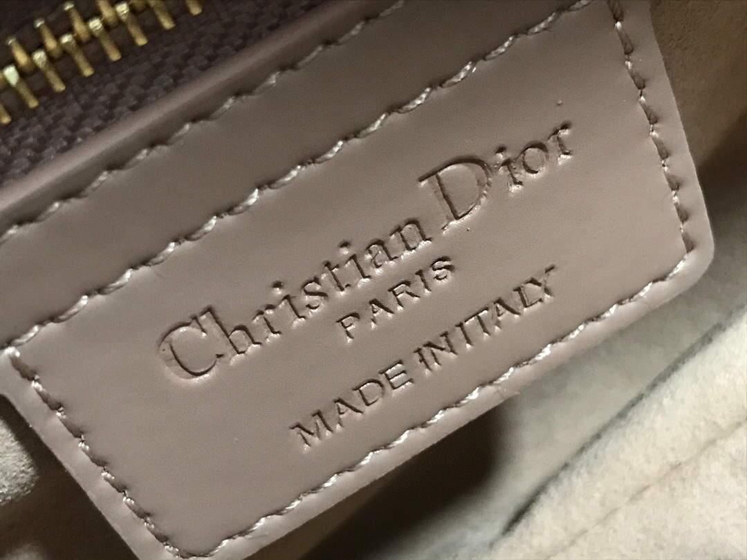 Dior M0446 Dior Saddle Bag M0447 Apricot Grained Calfskin with Apricot Hardware