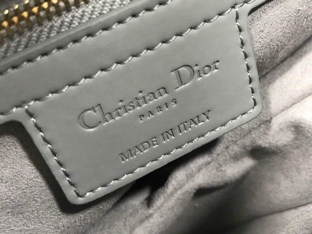 Dior M0446 Dior Saddle Bag M0447 Grey Grained Calfskin with Gray Hardware