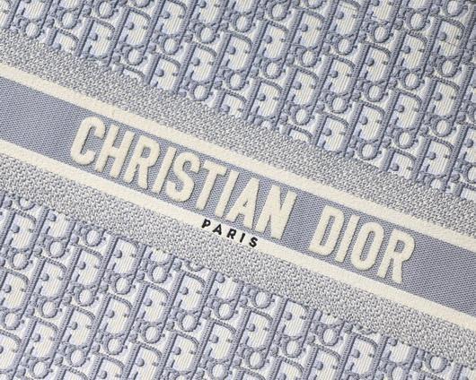 Dior M1286 Book Tote Christian Dior Shoulder Shopping Bag Gray
