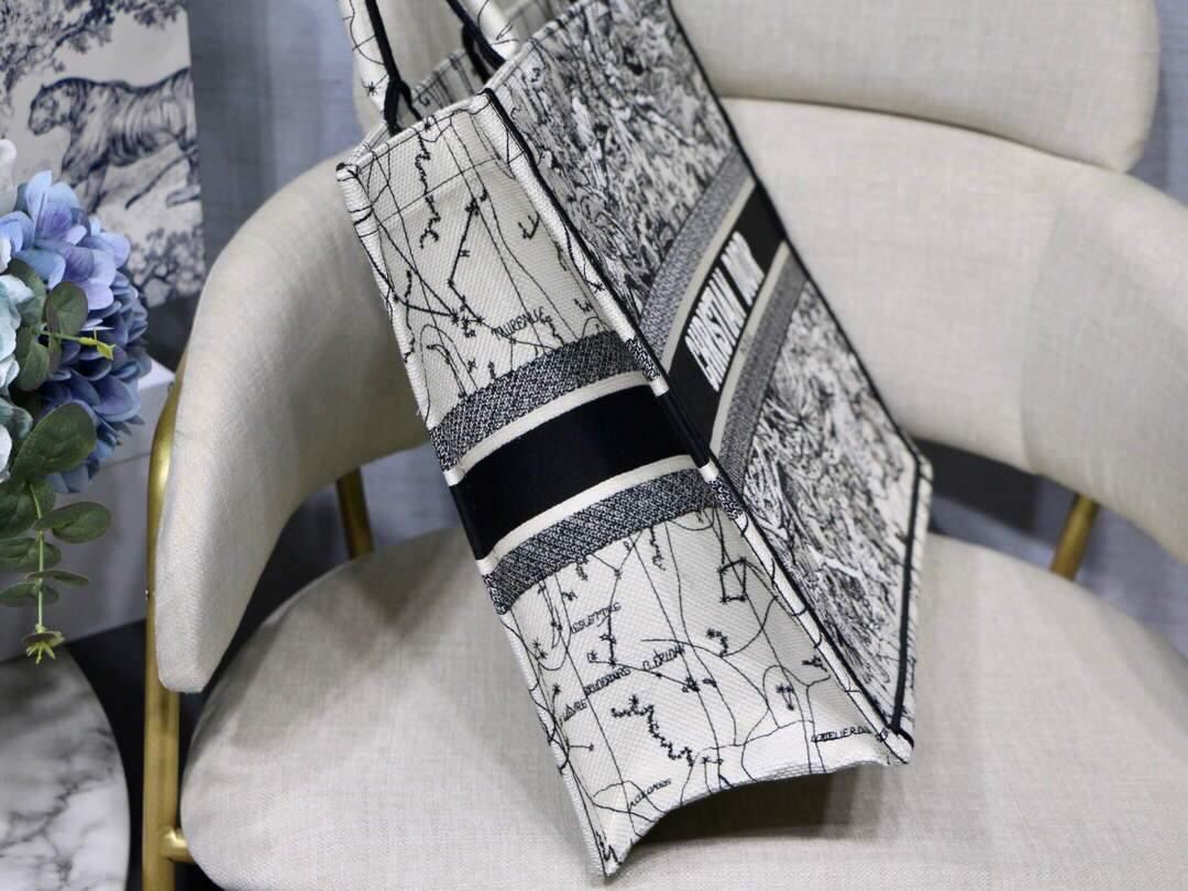Dior M1286 Book Tote Latte Multicolor Dior Zodiac Embroidery Gray