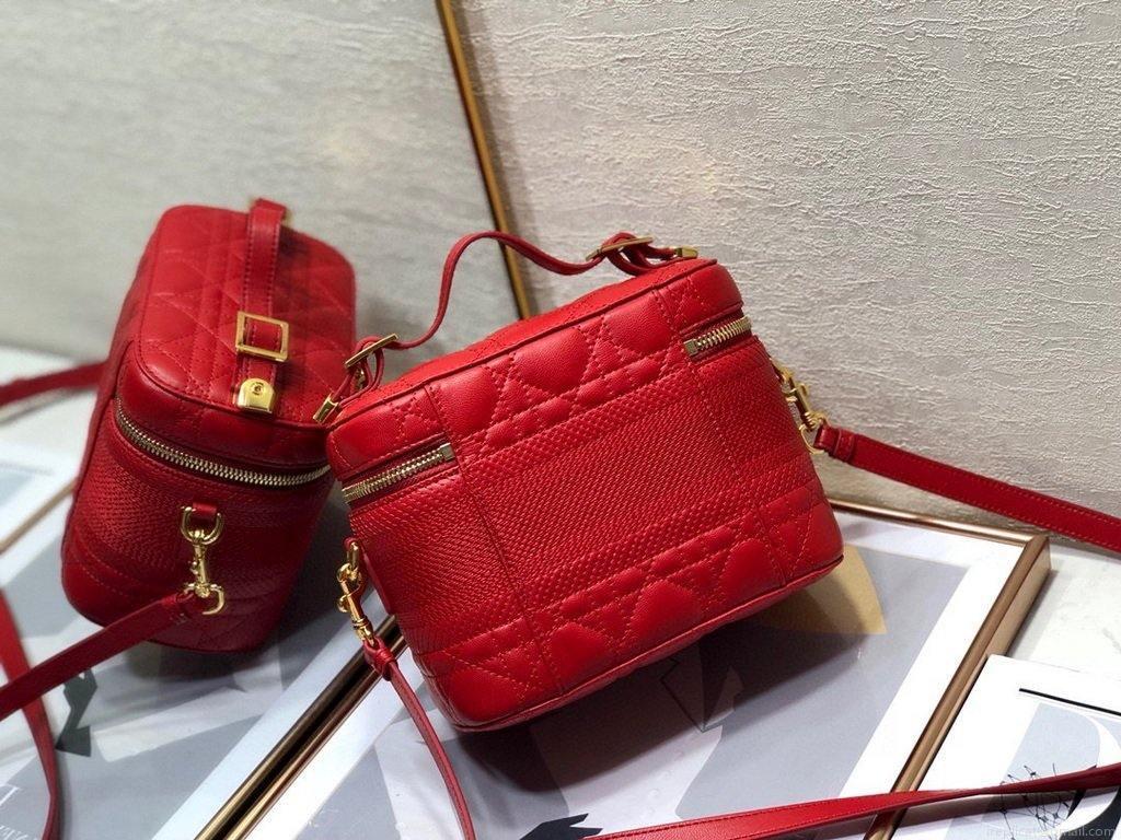 Dior S5488 Small Diortravel Vanity Case in Red Lambskin