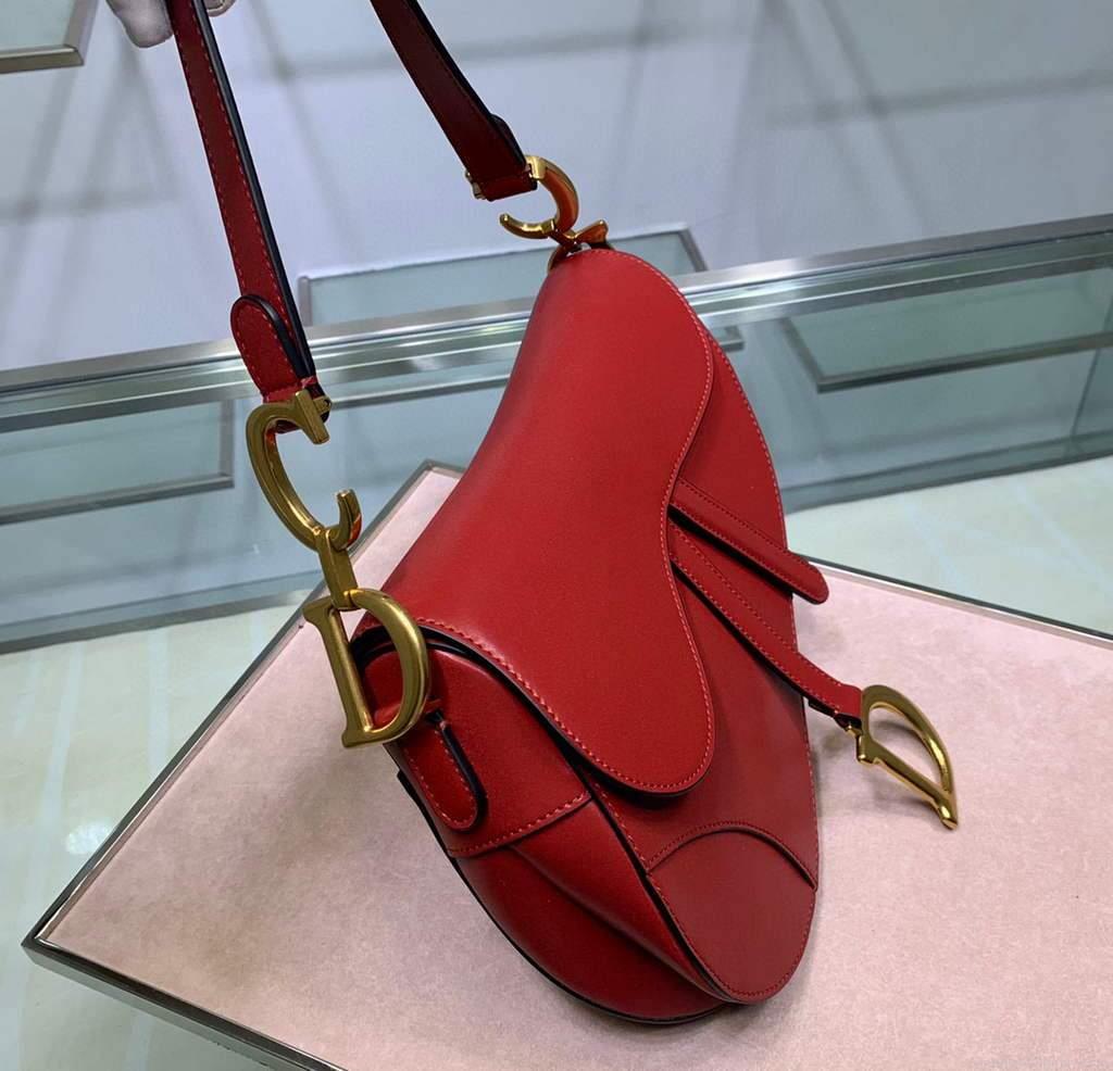 Dior M0446 Dior Saddle Bag M0447 Red Goatskin Gold Hardware