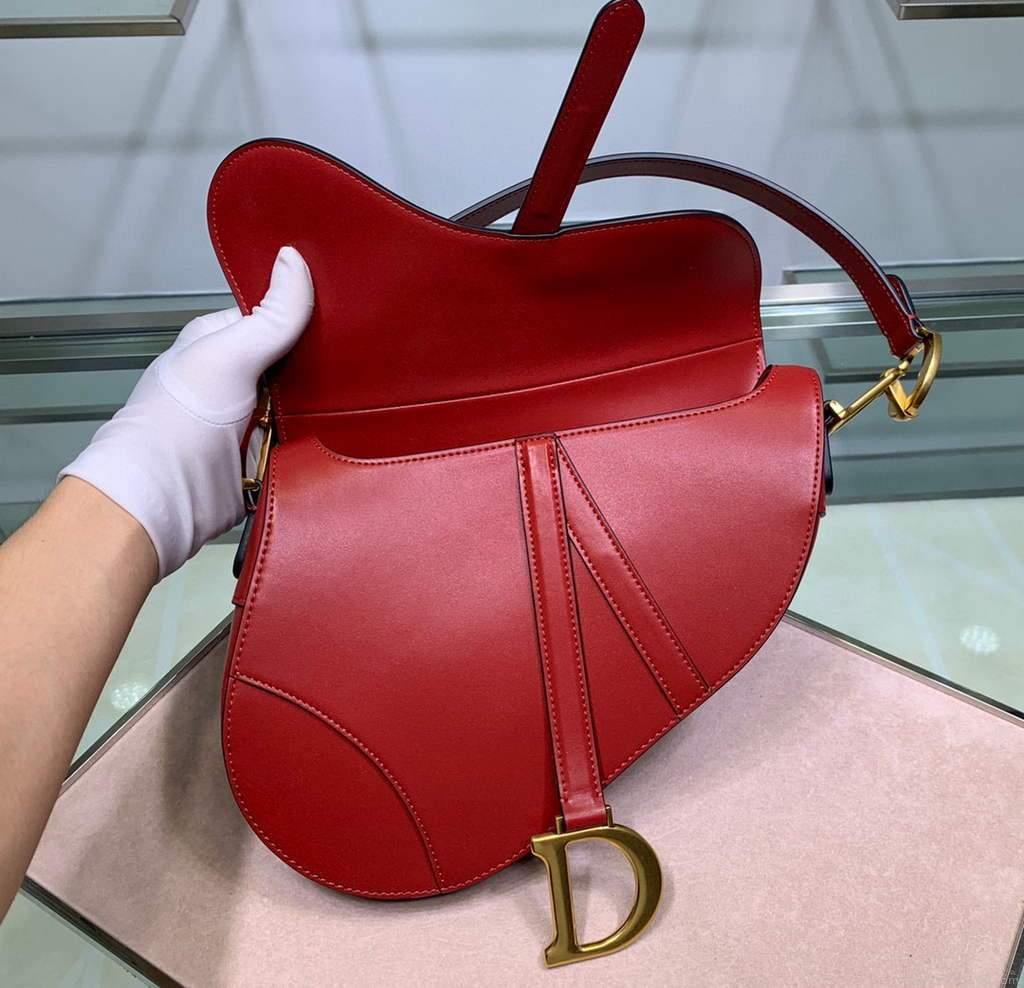 Dior M0446 Dior Saddle Bag M0447 Red Goatskin Gold Hardware