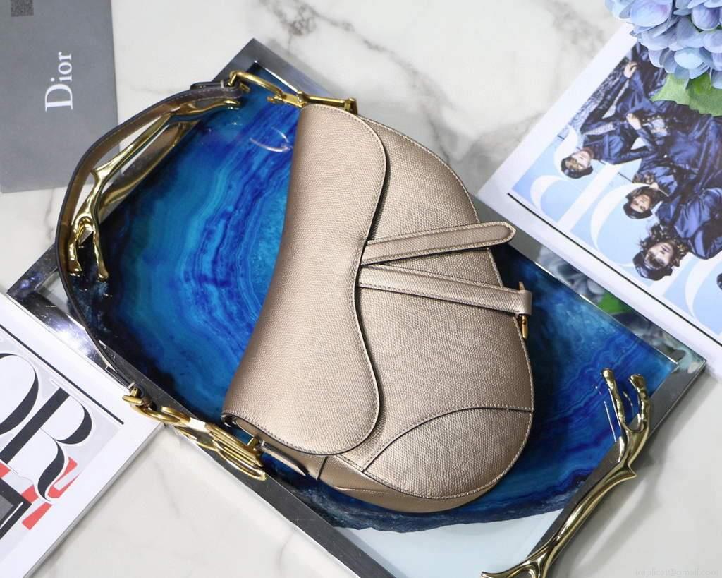 Dior M0446 Dior Saddle Bag M0447 Silvry Grey Grained Calfskin