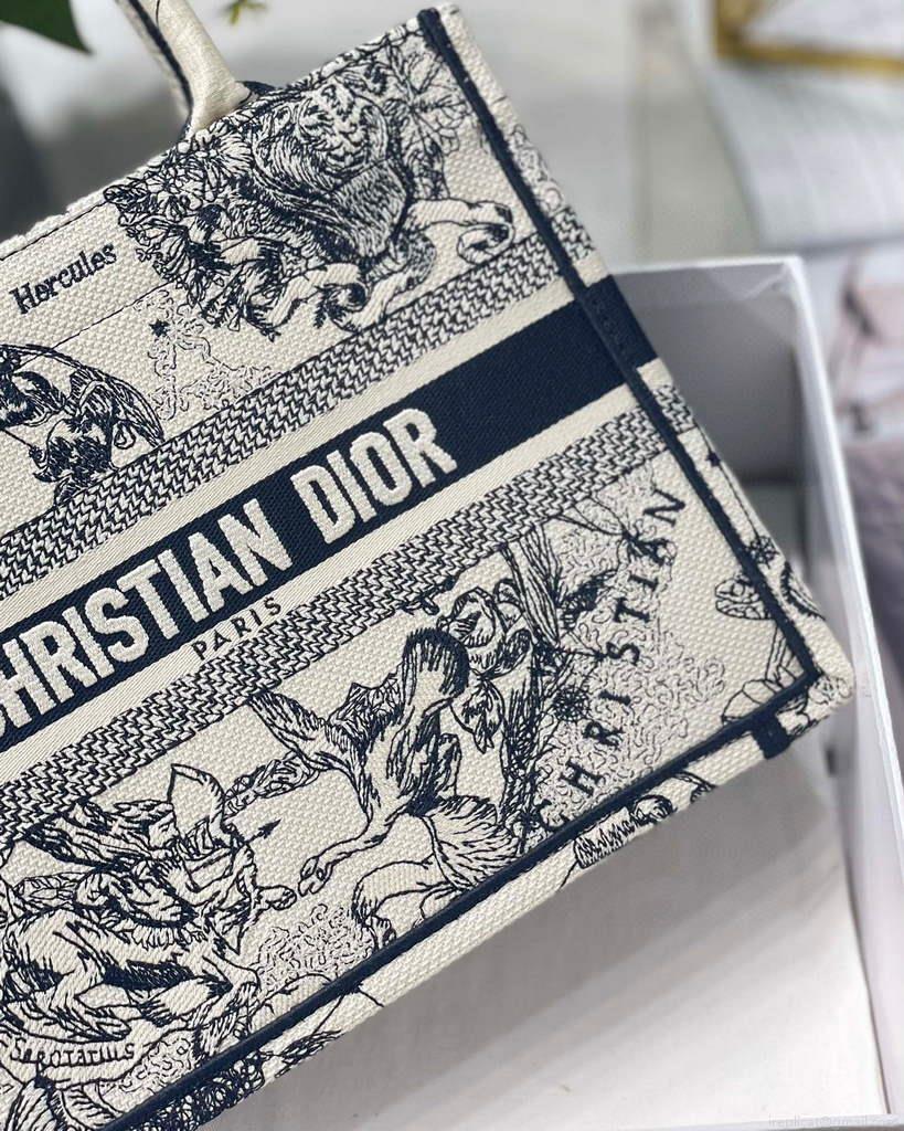 Dior Book Tote M1265 Small Latte Toile De Jouy Zodiac Embroidery Beige