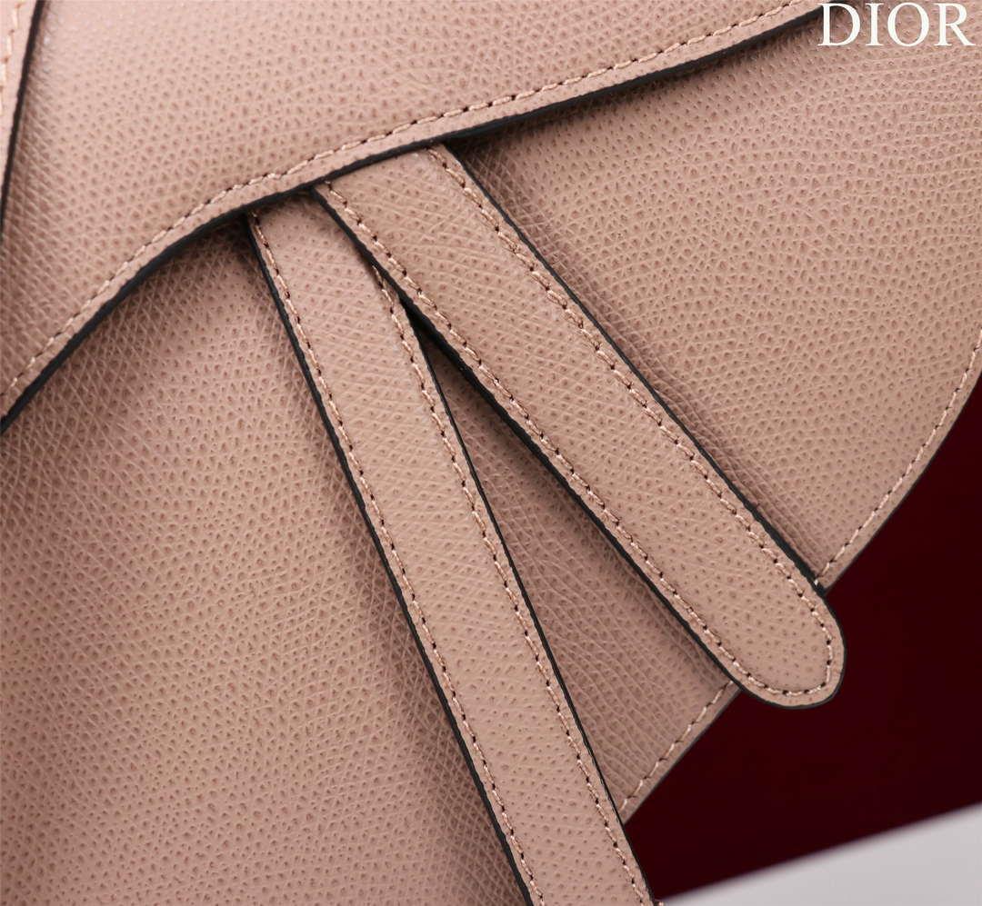 Dior M0456 Mini Saddle Bag With Strap Nude Grained Calfskin