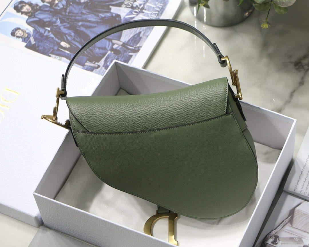 Dior M0446 Saddle Bag Dior Calfskin Bag Green