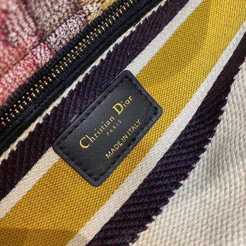 Dior M0565 Medium Lady D-lite Embroidery Bag colourful