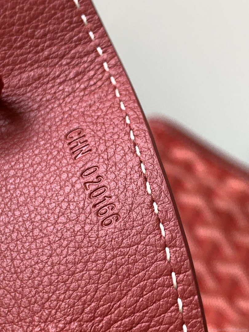 Goyard ANJOUSMINCG07TY07P Anjou Mini Bag Red