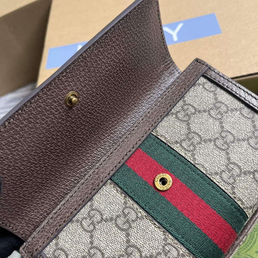 Gucci 746308 Ophidia GG Mini Bag Brown