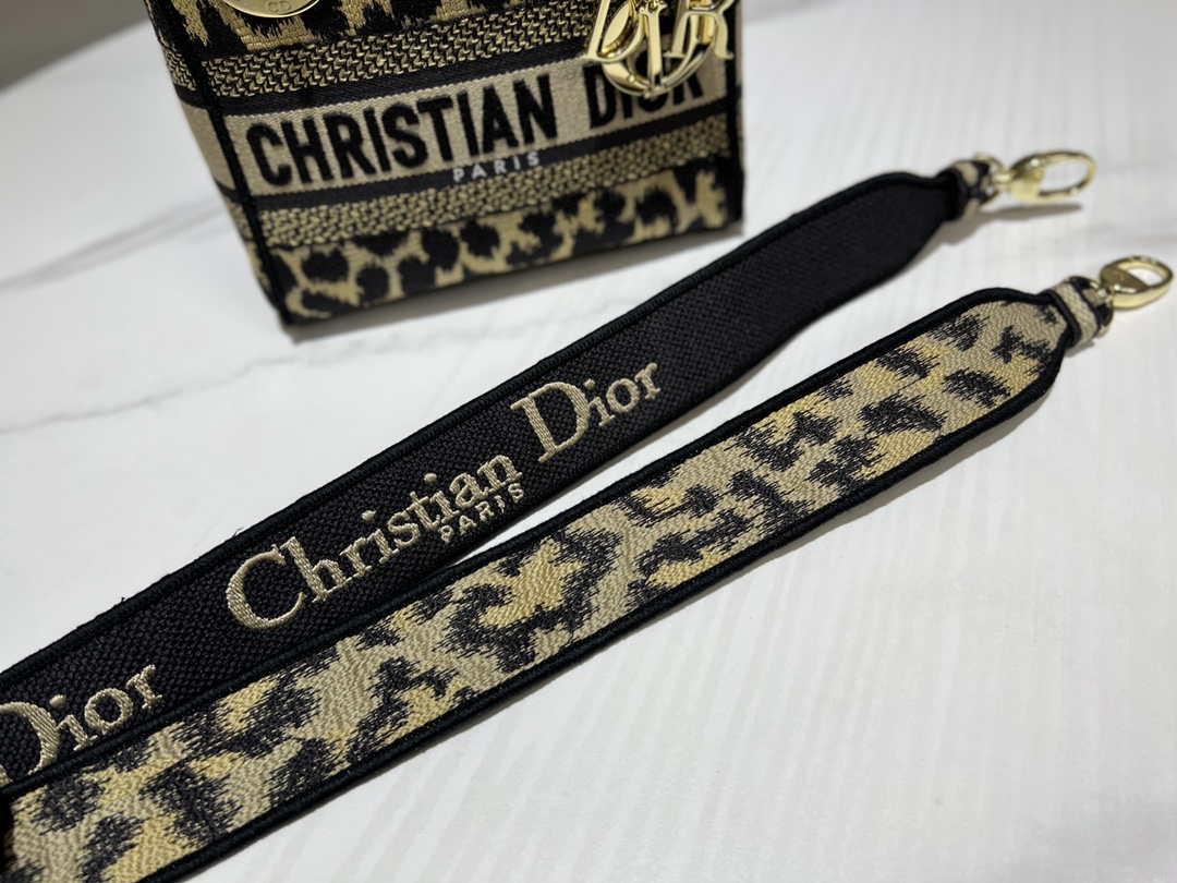 Dior M0500 MINI Lady D-LITE Bag Beige Multicolor Mizza Embroidery