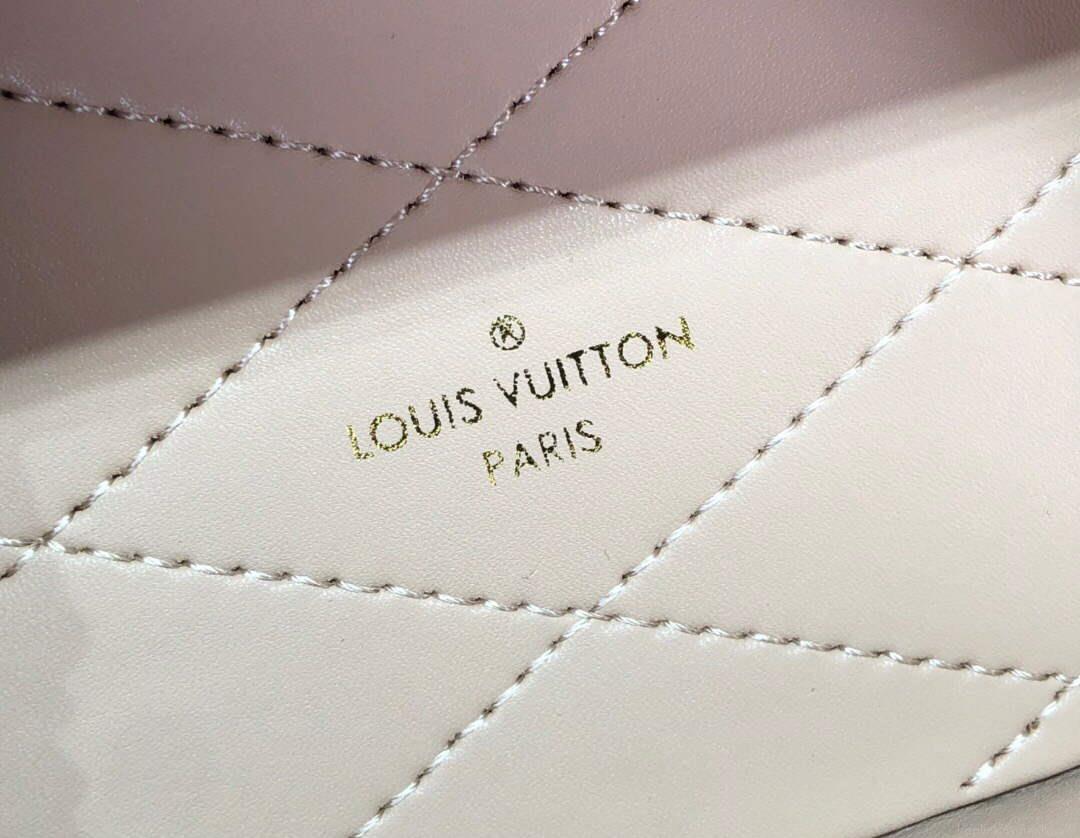 LV M10077 Louis Vuitton Camera Box