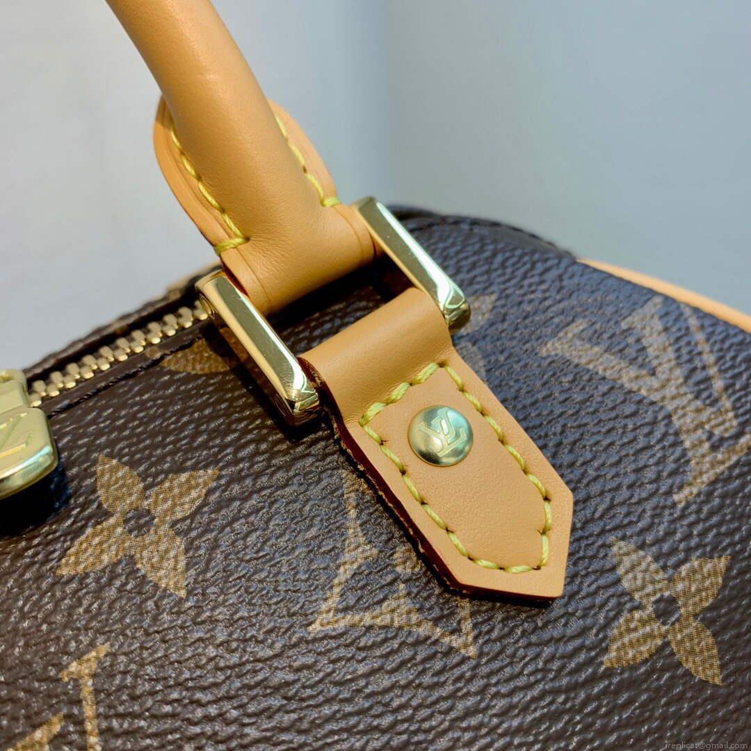 LV M50202 Louis Vuitton Ribera Mini Boston Handbag