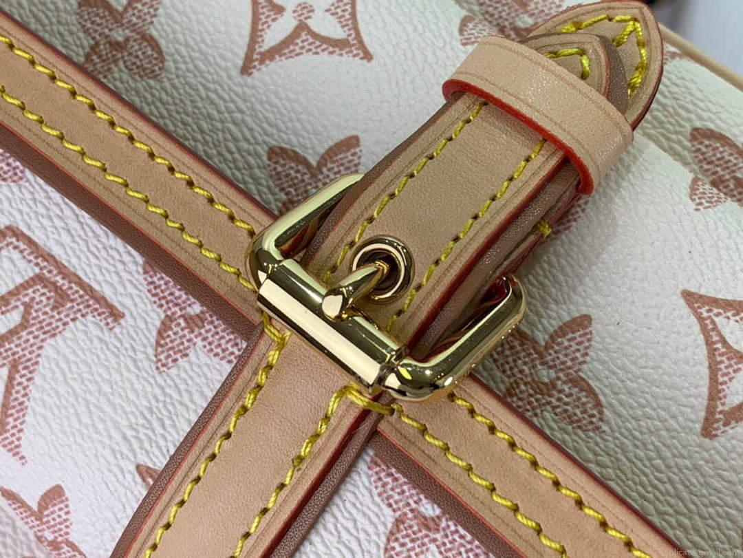 LV M20920 Louis Vuitton Maxi Multi Pochette Accessoires Beige