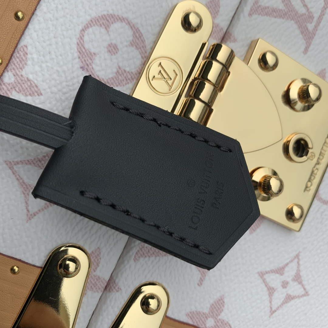 LV M10079 Louis Vuitton Camera Box Handbag White