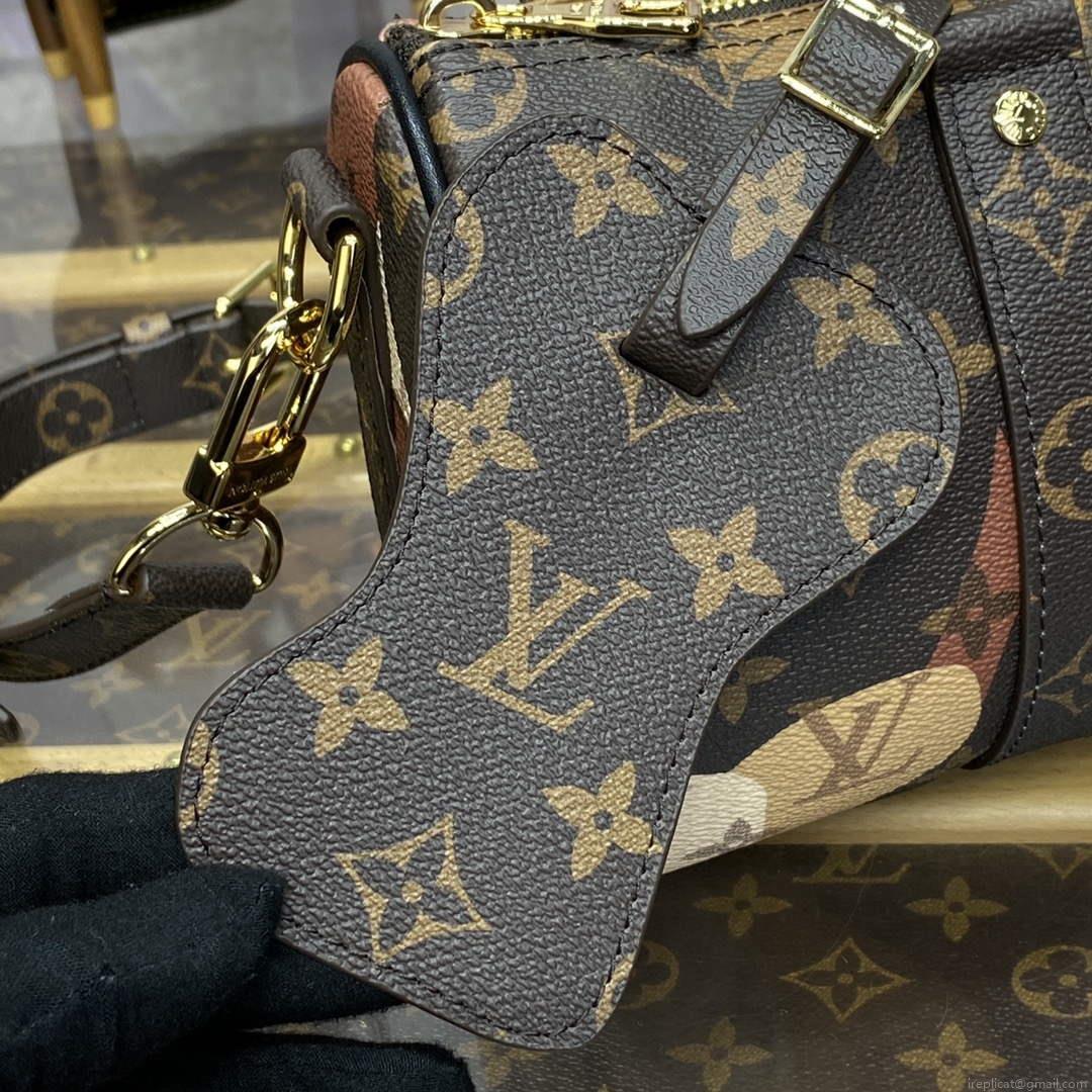 LV M46678 Louis Vuitton Keepall Bandoulière 25 Bag Brown