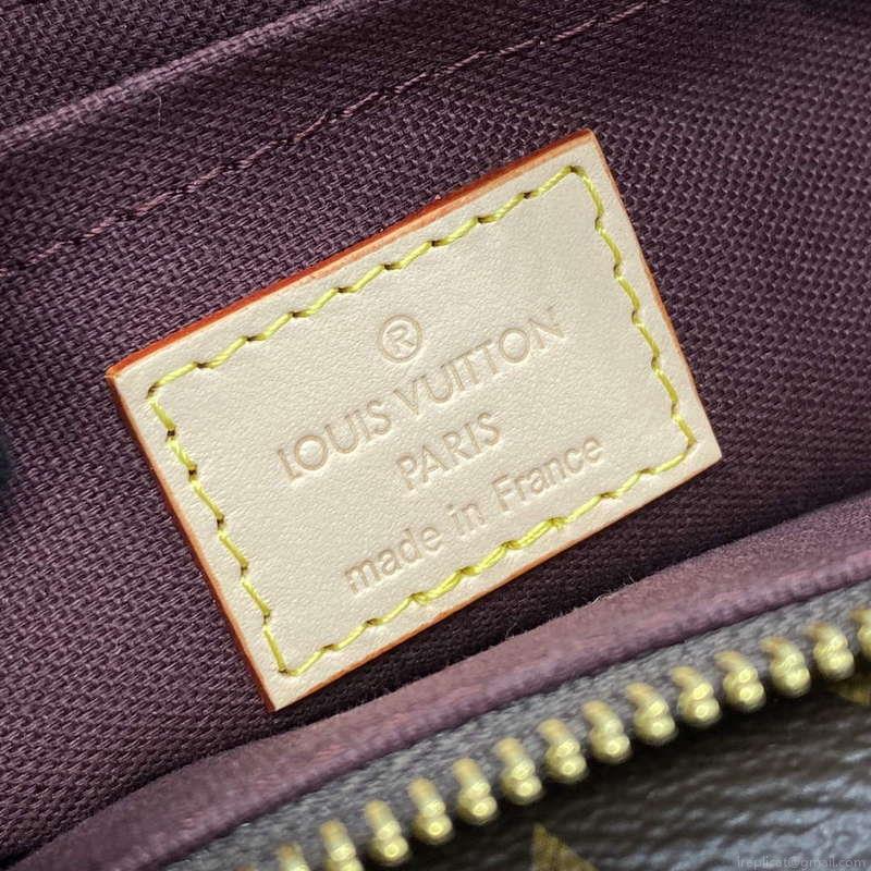 LV M46999 Louis Vuitton Vibe Handbag