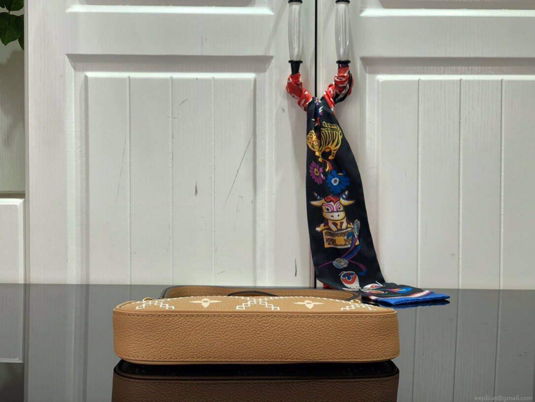 LV M81137 Louis Vuitton Easy Pouch ON Strap Bag
