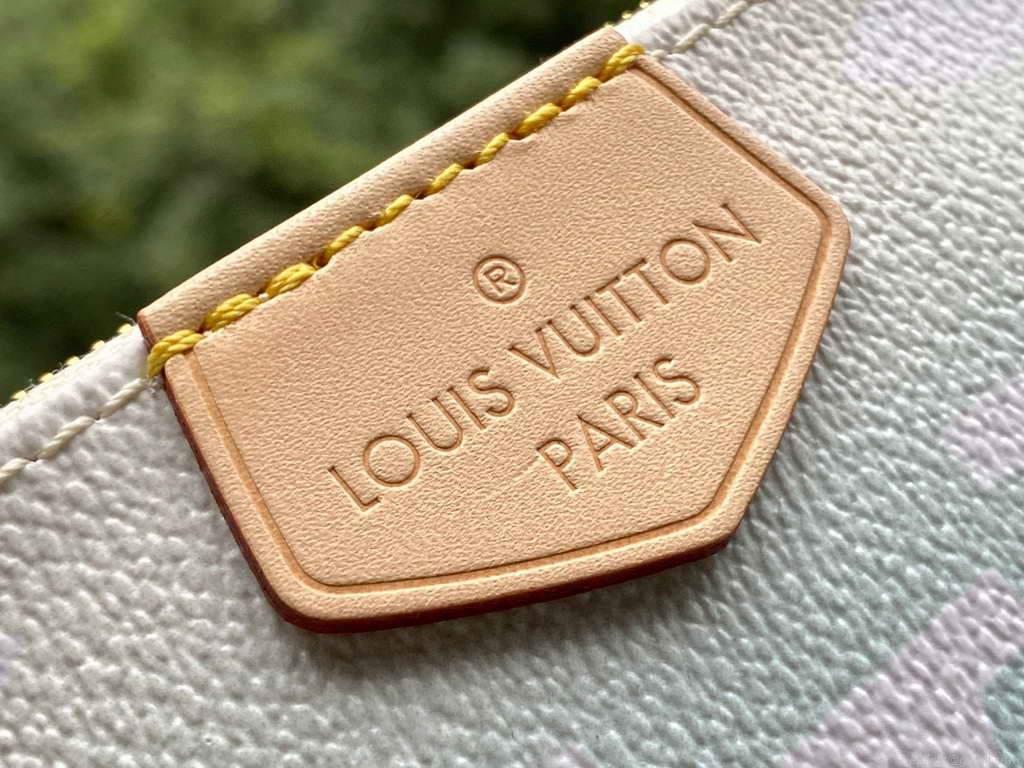 LV M57633 Louis Vuitton M57634 Multi Pochette Accessoires Bag Blue