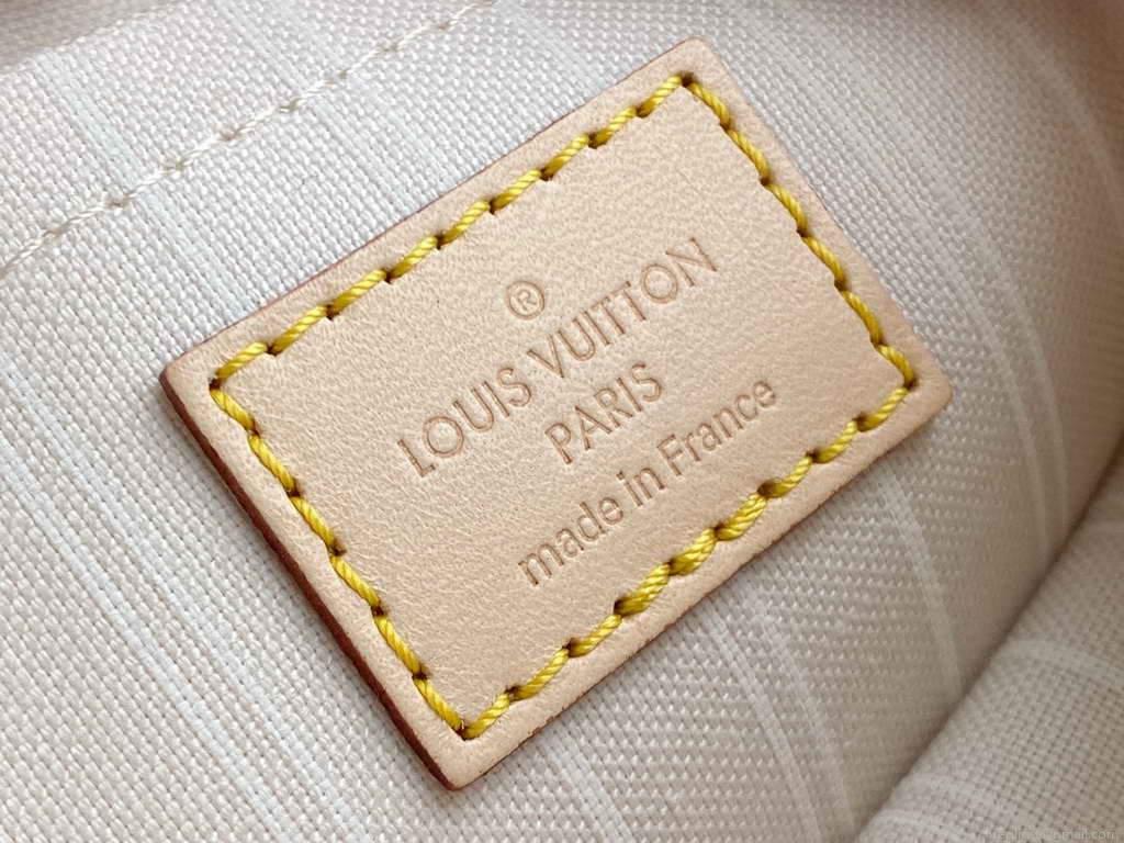 LV M57633 Louis Vuitton M57634 Multi Pochette Accessoires Bag Blue