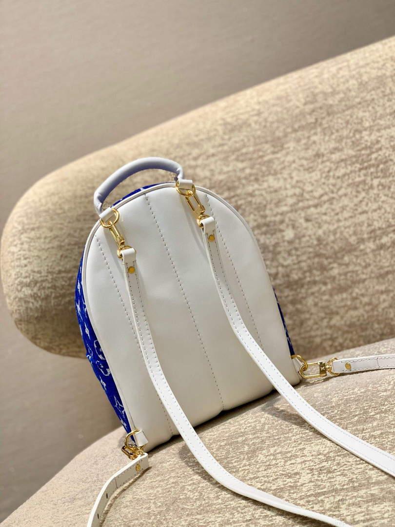 LV M46207 Louis Vuitton palm springs mini Bag Blue