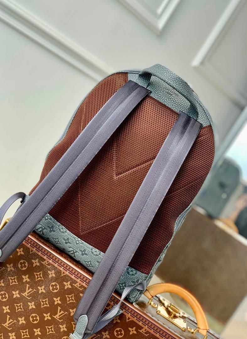 LV M20877 Louis Vuitton Ellipse Backpack Other Leathers Granite