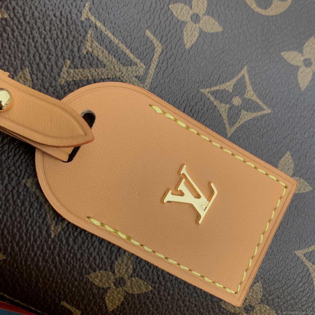 Louis Vuitton LV M46203 Carryall PM Monogram